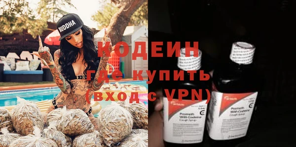 сатива Лабытнанги