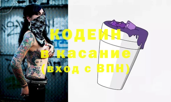 гашик Болотное