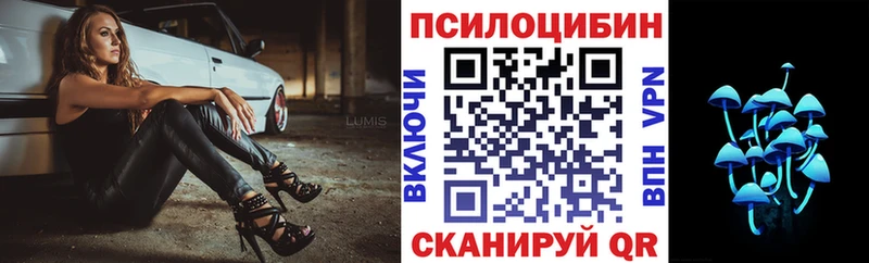Псилоцибиновые грибы GOLDEN TEACHER  Дно 